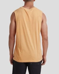 RVCA BROTHERS MUSCLE -Rvca uvyzt00167 rvcaw mnd bck3